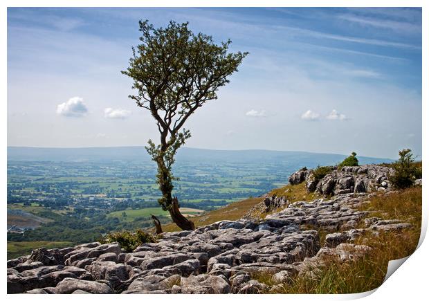 View from the edge of the scar Print by David McCulloch