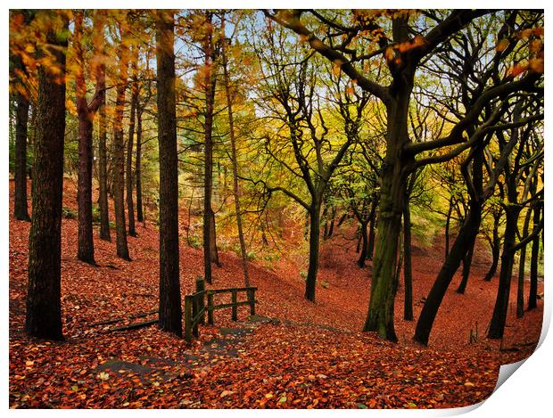 The stepped autumn pathway Print by David McCulloch
