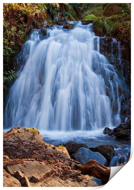 The Secluded Waterfall Print by David McCulloch