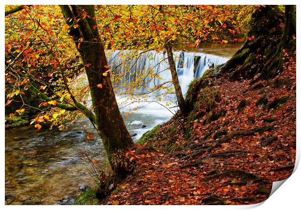 Autumn by the weir Print by David McCulloch