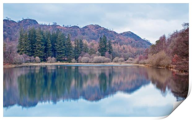 Pastel Shades of Yew Tree Tarn Print by David McCulloch