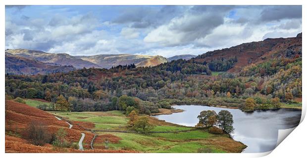 Rydal Panorama Print by David McCulloch