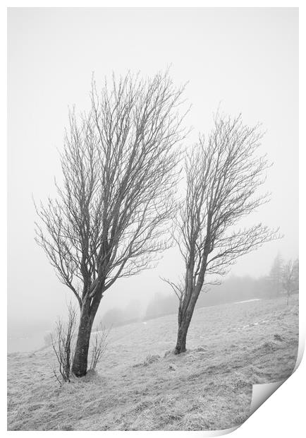 On a misty windy hill Print by David McCulloch