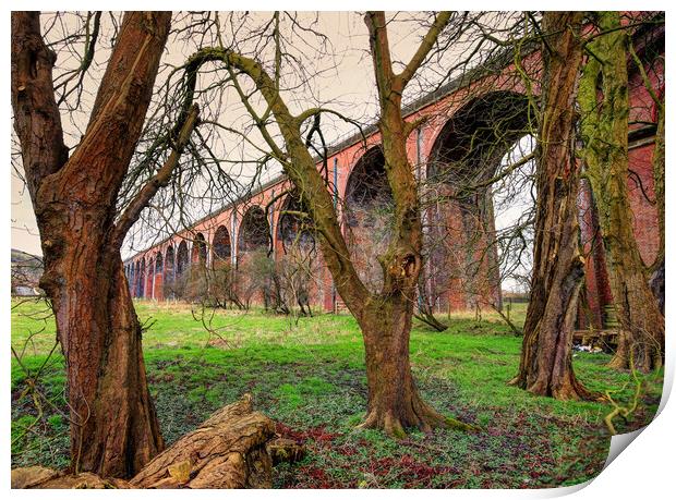 Trees by the viaduct Print by David McCulloch