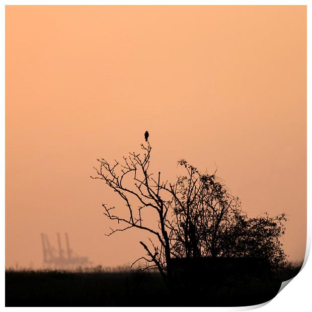  Oare at sunset Print by Ian Hufton