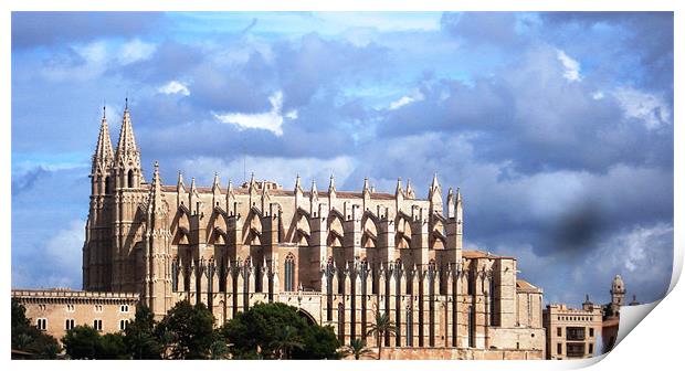 Palma Cathedral Print by Tania Ford
