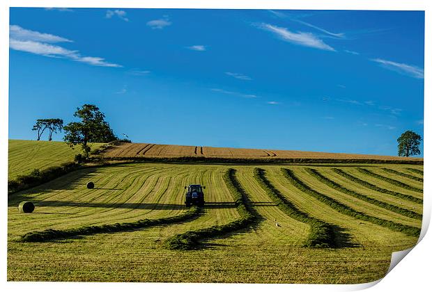 Harvest Landscape Print by John Hastings