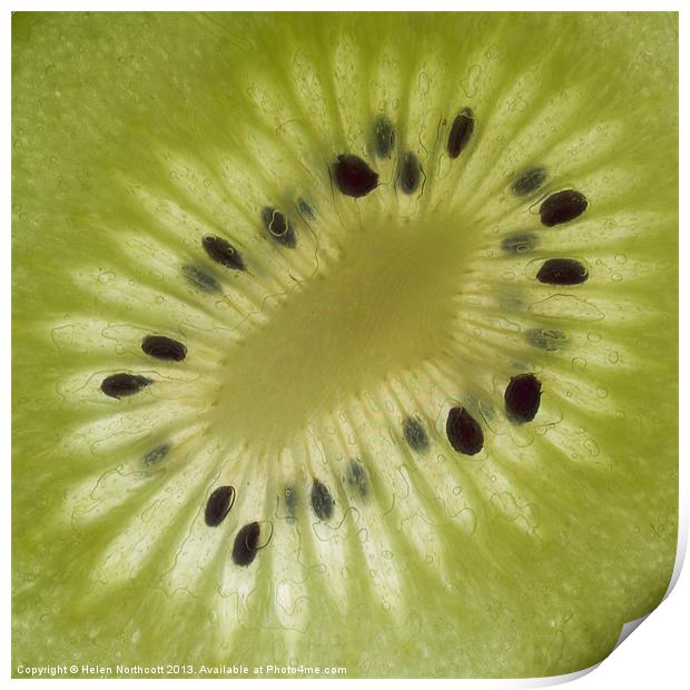 Kiwi Fruit Slice Print by Helen Northcott