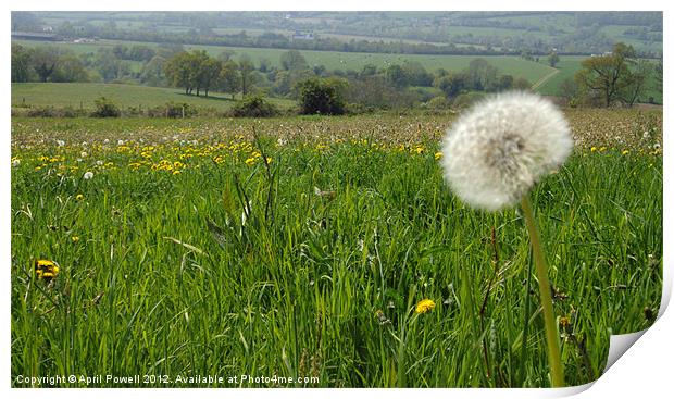 Countryside view Print by April Powell