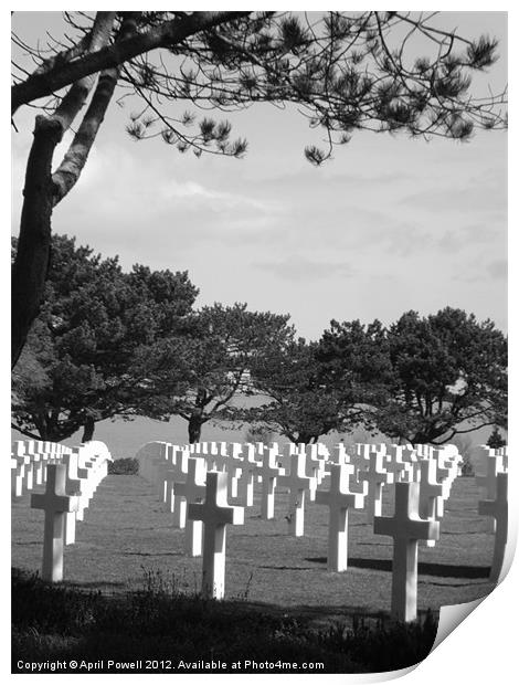 war graves Print by April Powell