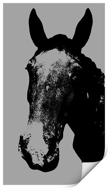 Horse Print Print by Matt Knight