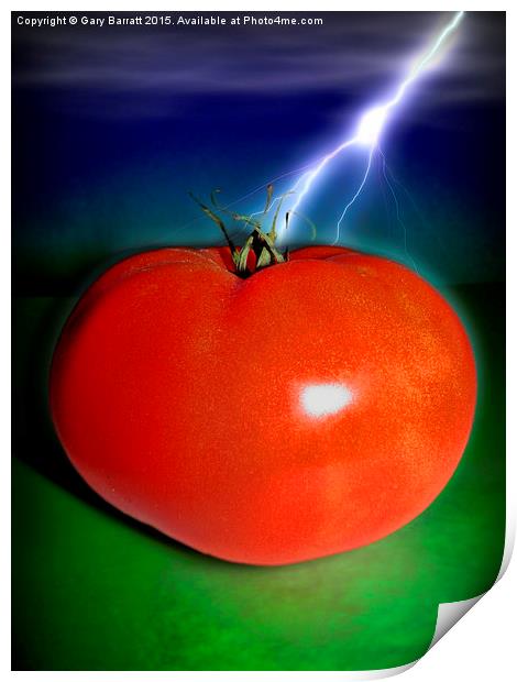  Big Red Tomato. Print by Gary Barratt