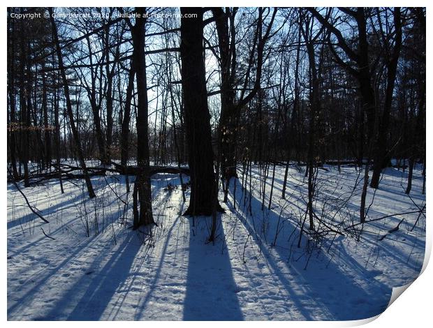 Long Winter Shadows Print by Gary Barratt