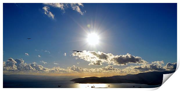 Flying over the Bay Print by Fine art by Rina