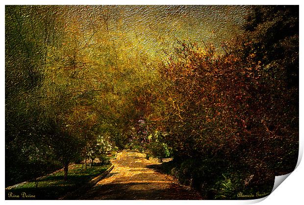 Pathway into the unknown ( Alameda Gardens) Print by Fine art by Rina
