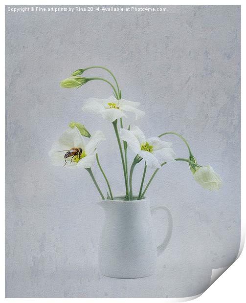  Lisianthus Print by Fine art by Rina