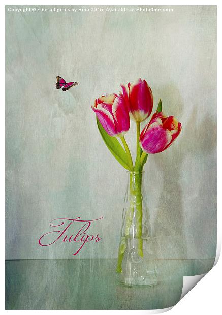  Tulips Print by Fine art by Rina