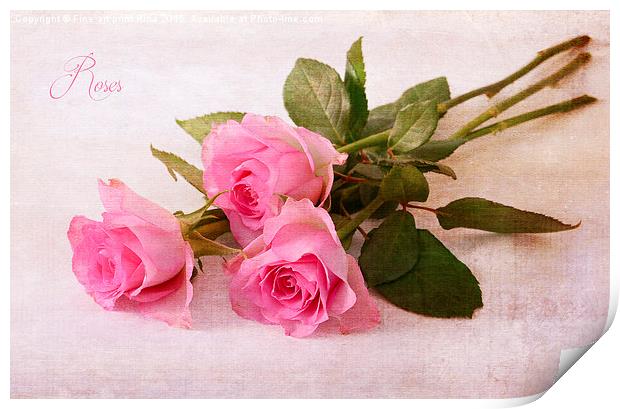  Roses Print by Fine art by Rina