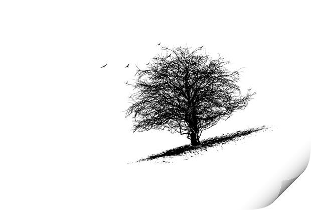 The Tree Print by Fine art by Rina