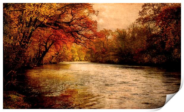 Autumnal River Tamar Print by Maggie McCall