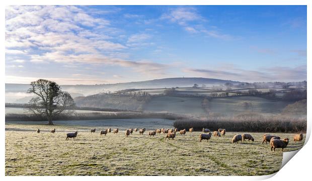 Tamar Valley View Print by Maggie McCall