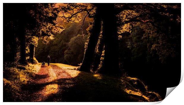 Autumn Walk along the Tamar River Print by Maggie McCall