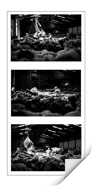  A Triptych of Grading wool, Liskeard Wool Depot,  Print by Maggie McCall