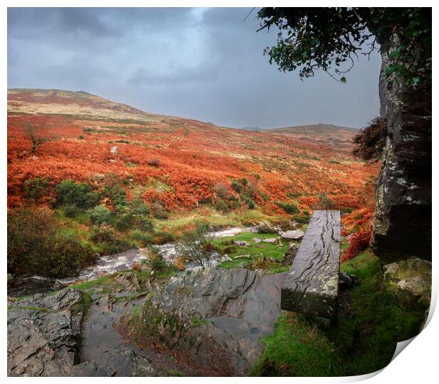 Bench above the River Lyd, Dartmoor, Devon.  Print by Maggie McCall
