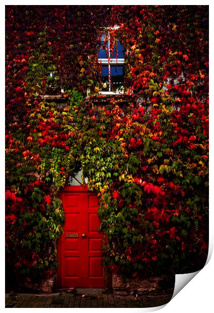 Dartmouth Door Way, Devon Print by Maggie McCall