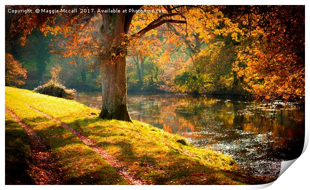 Autumnal Tamar River Walk Print by Maggie McCall