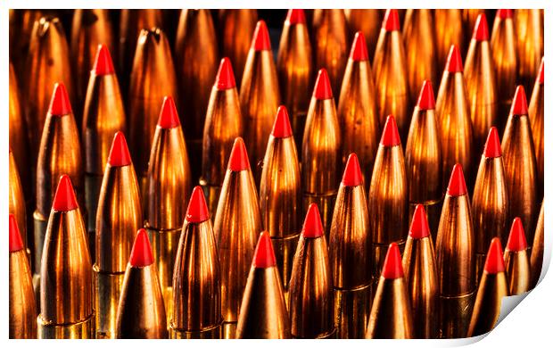 Abstract Pattern of Standing Bullets Print by Maggie McCall