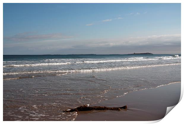 FARNE ISLAND ( Viewed from Bamburgh Castle ) Print by raymond mcbride