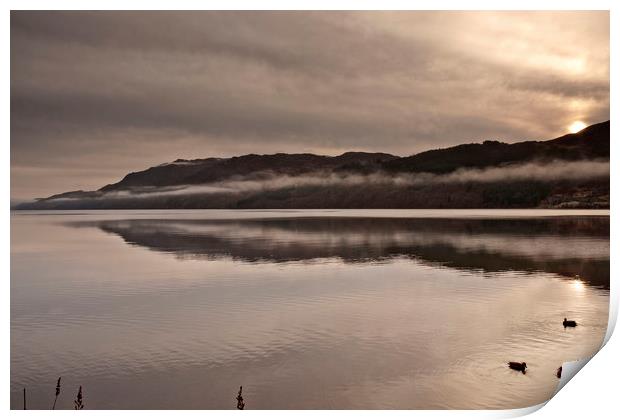 COLD MISTY MORNING(Ducks on the loch) Print by raymond mcbride