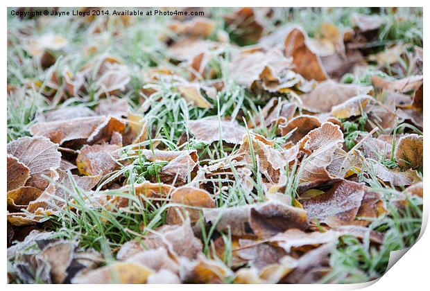 Fallen frosty leaves Print by J Lloyd