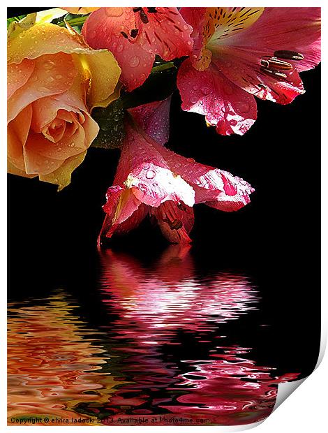 flowers with the reflections Print by elvira ladocki