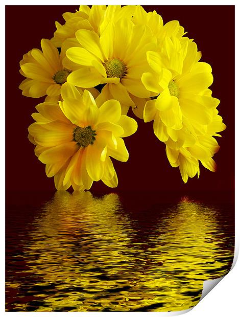 1117-flowers with the reflections Print by elvira ladocki