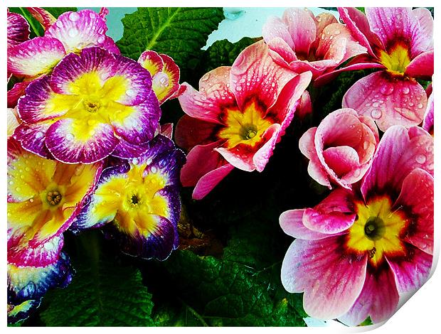 1177-spring flowers Print by elvira ladocki