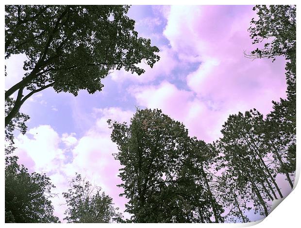2190-clouds in the forest Print by elvira ladocki