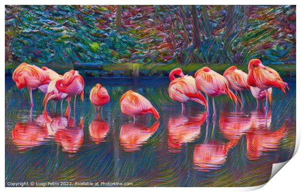 Fine art portrait of a pack of American flamingos. Print by Luigi Petro
