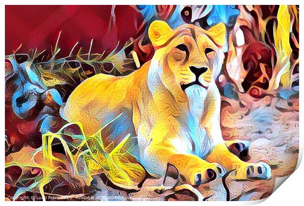 Lioness at Chester zoo,  United Kingdom Print by Luigi Petro