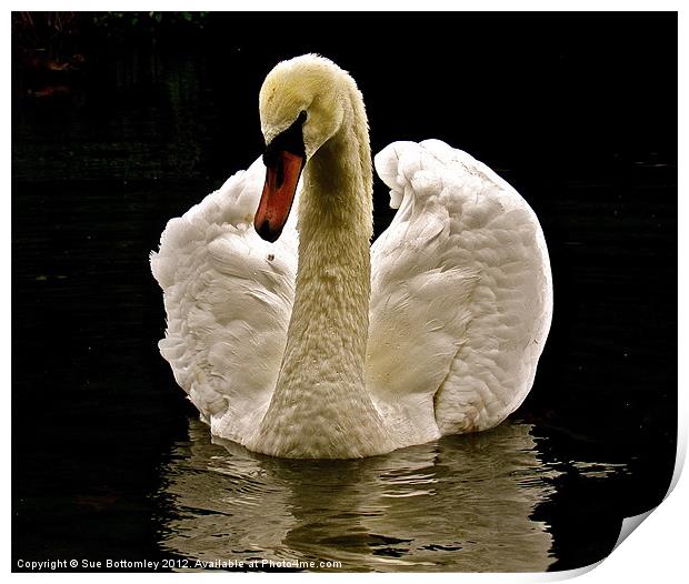 Looking at refection of ones-self Print by Sue Bottomley