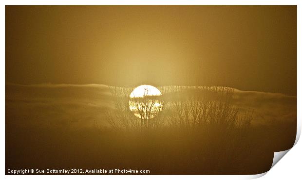 Foggy November sunrise Print by Sue Bottomley