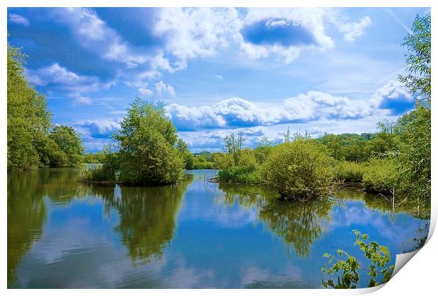 Stockers Lake Nature Reserve Rickmansworth Print by Sue Bottomley