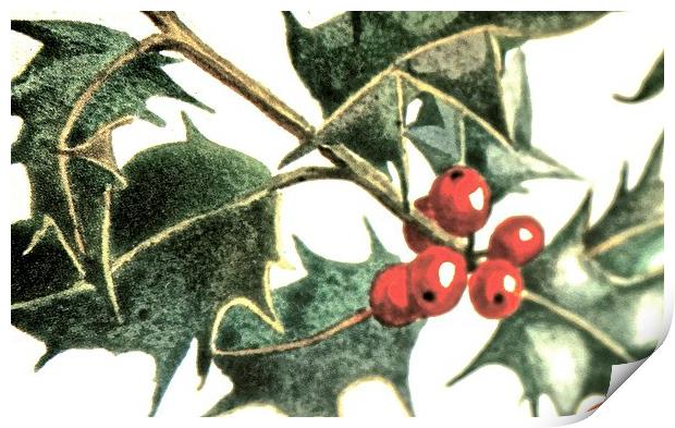  Christmas Time Holly Time Print by Sue Bottomley
