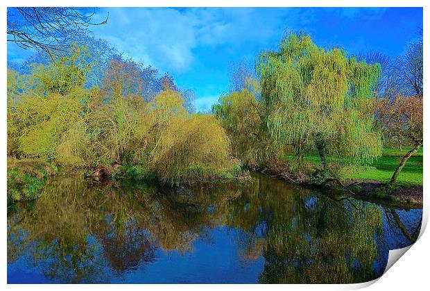  Cassiobury Park Nature Reserve  Print by Sue Bottomley