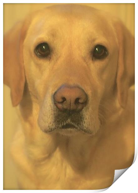  Golden Labrador Dog Bestfriend                    Print by Sue Bottomley