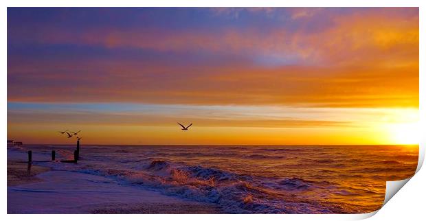 Sunrise over Southwold beach in Suffolk            Print by Sue Bottomley