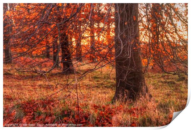 Autumn Sunset Print by Jon Saiss