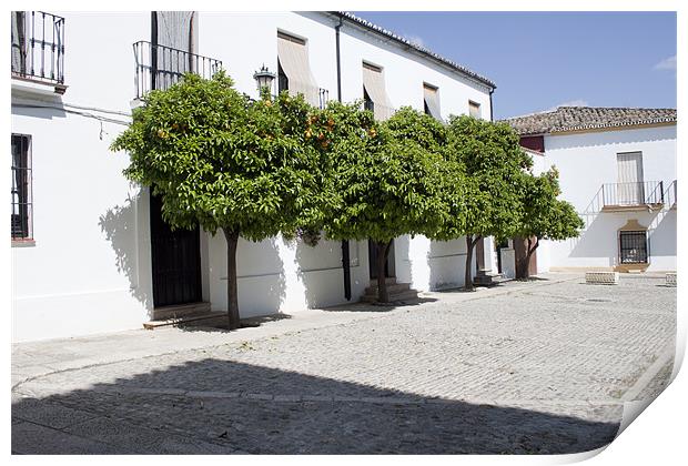 Orange Trees in Ronda Print by James Woodward