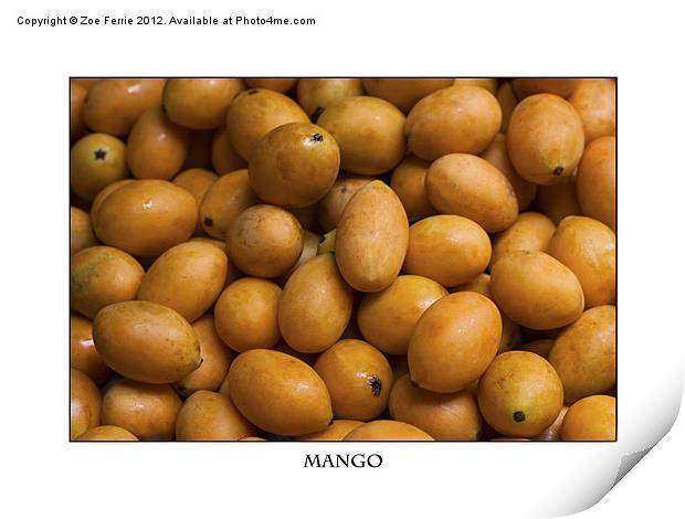 Market Mangoes against white background Print by Zoe Ferrie